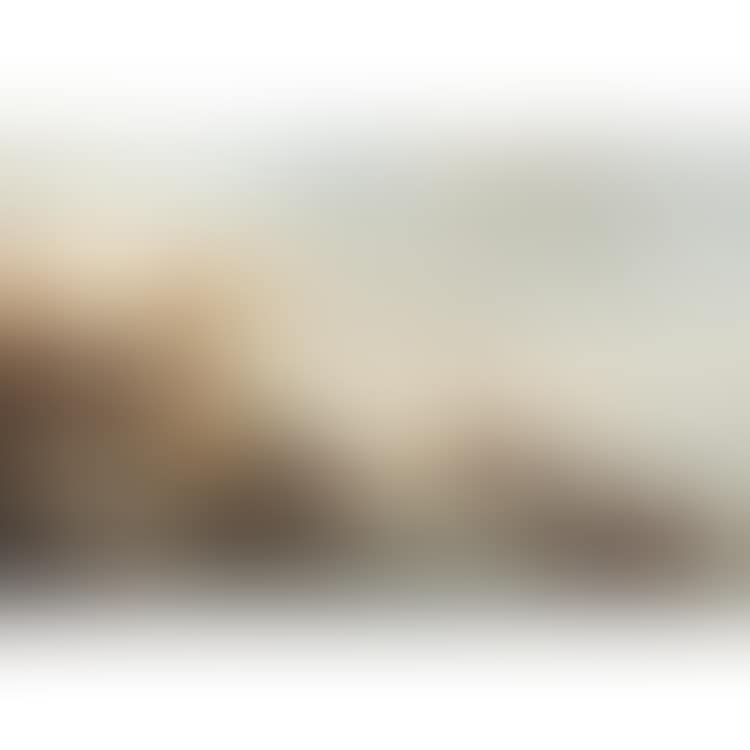 Paysage côtier animé (preview)