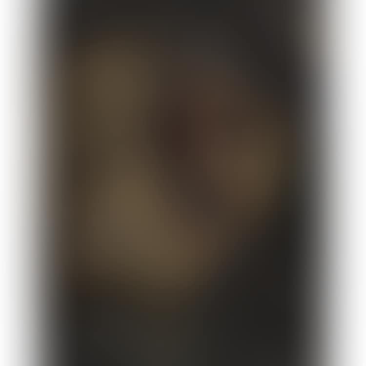 AN INDIAN (preview)