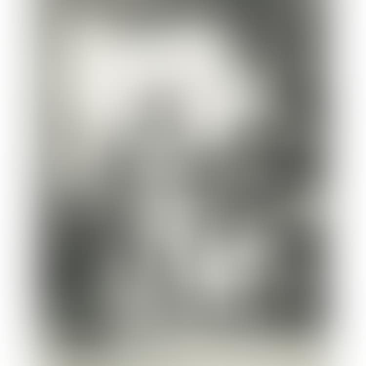 The Bride of Abydos, Ismaïl and Mariam, Zuleika, Greek characters or illustrations (preview)