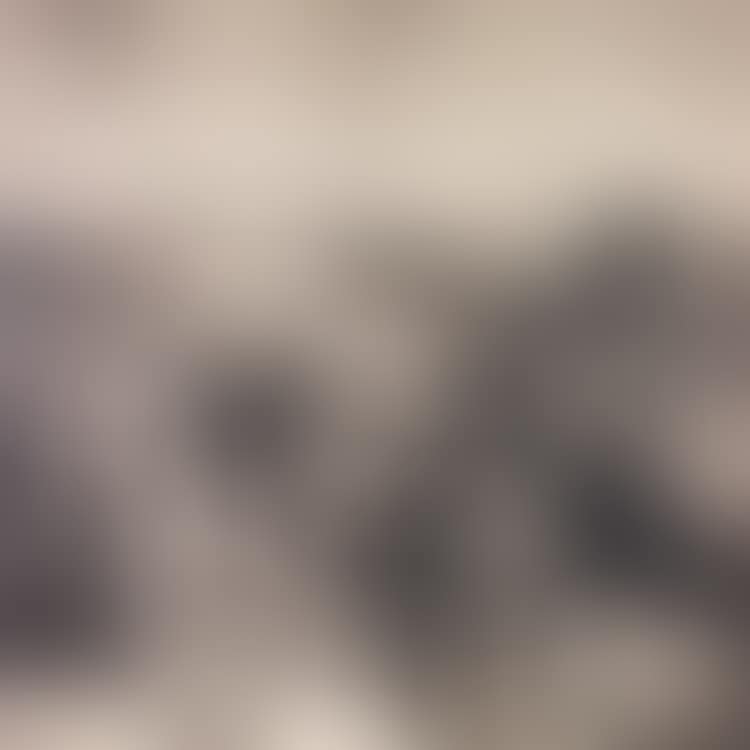 VARIOUS SCENES (preview)