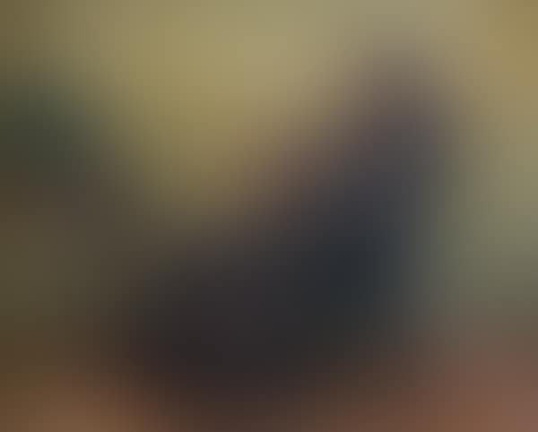 Monk playing the violin (preview)