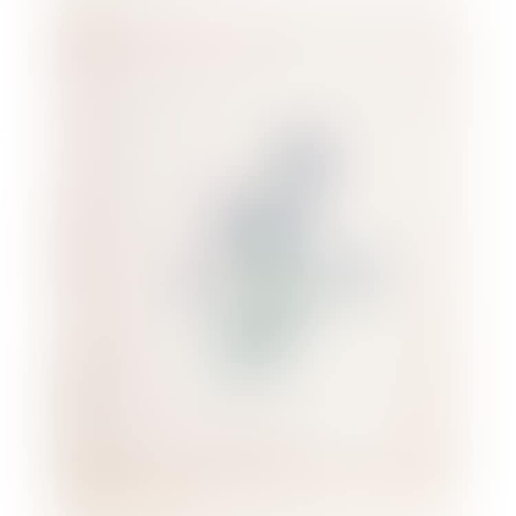 Study of daffodil and butterfly (preview)