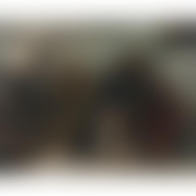 Episode of the Troyan war (preview)