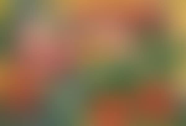 "Bouquet de fleurs"; Bouquet de fleurs (preview)