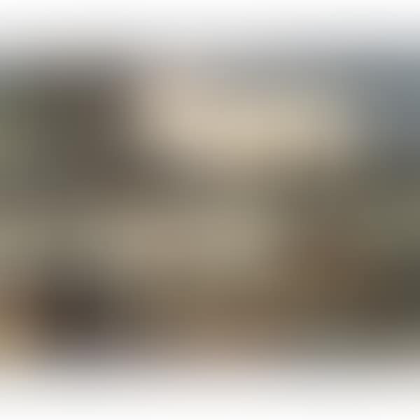 THE CANAL (preview)