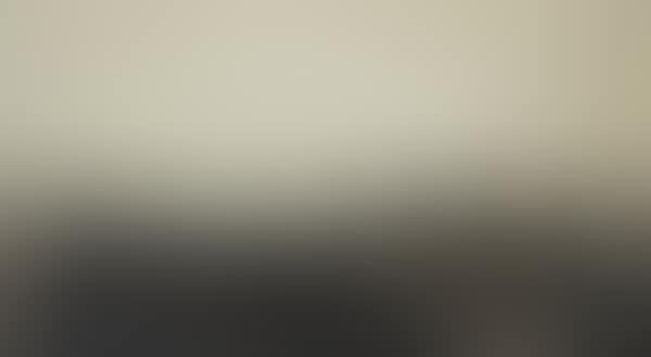 La plaine Saint Denis (preview)