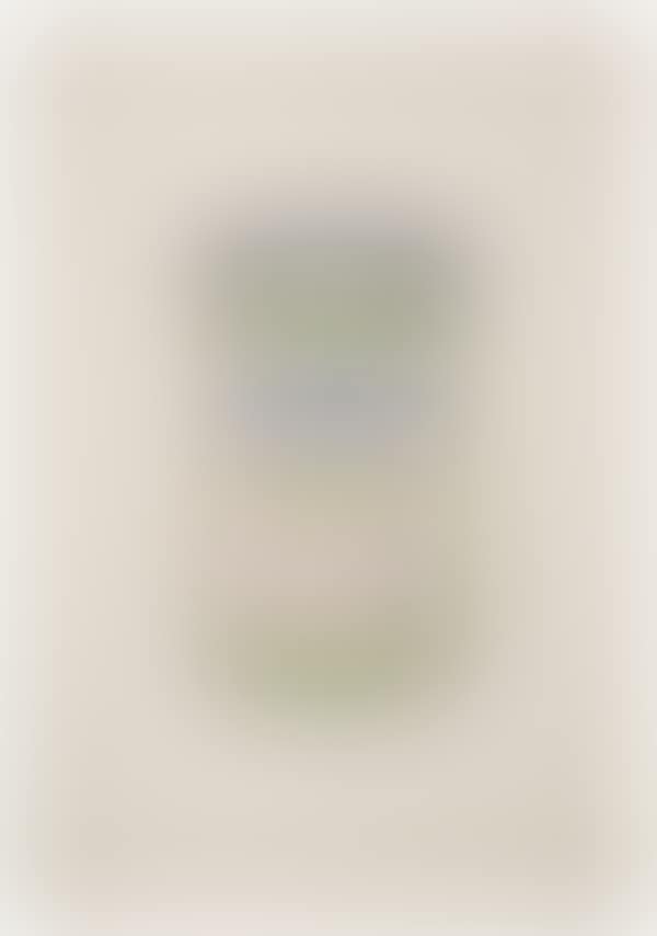 Soup can (preview)