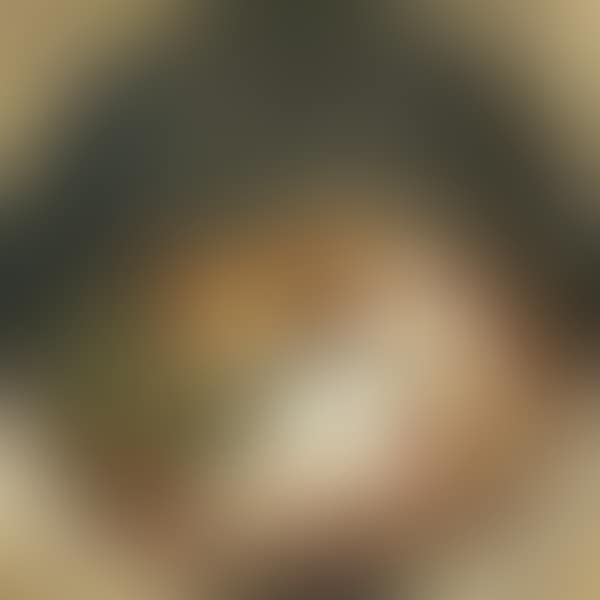 Diane"s Rest (preview)