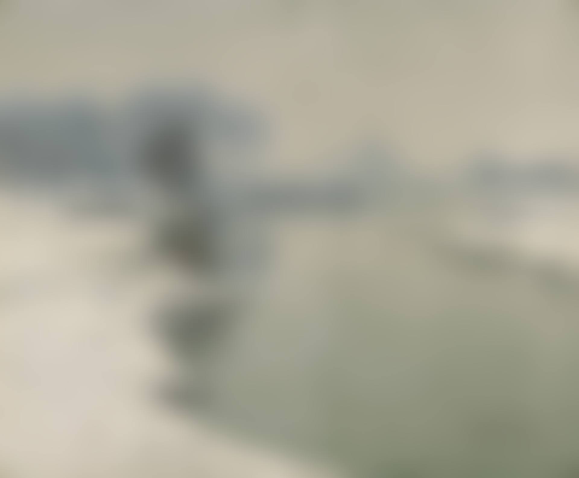 Winter Landscape on the River Erft (preview)