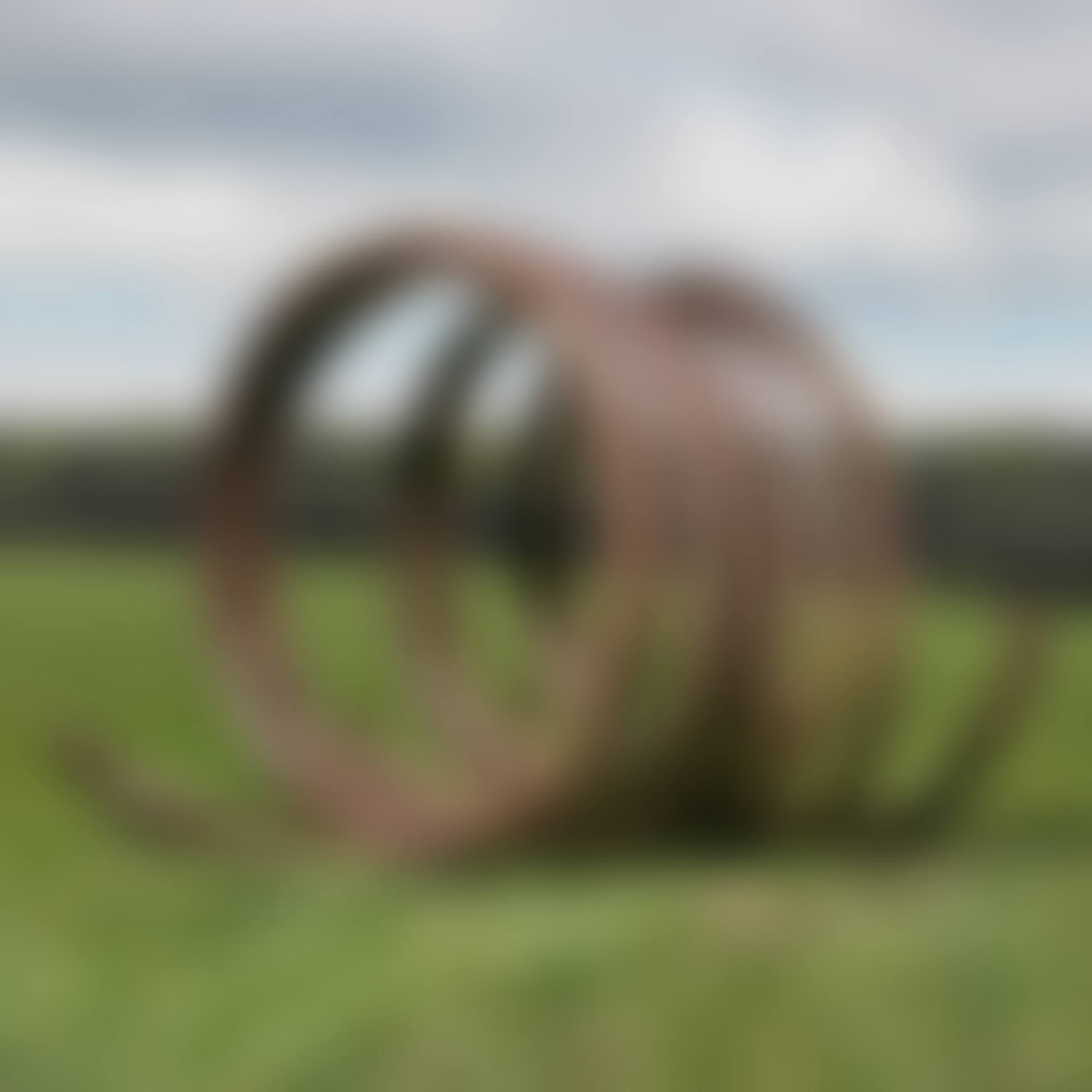 Three Indeterminate Lines (preview)