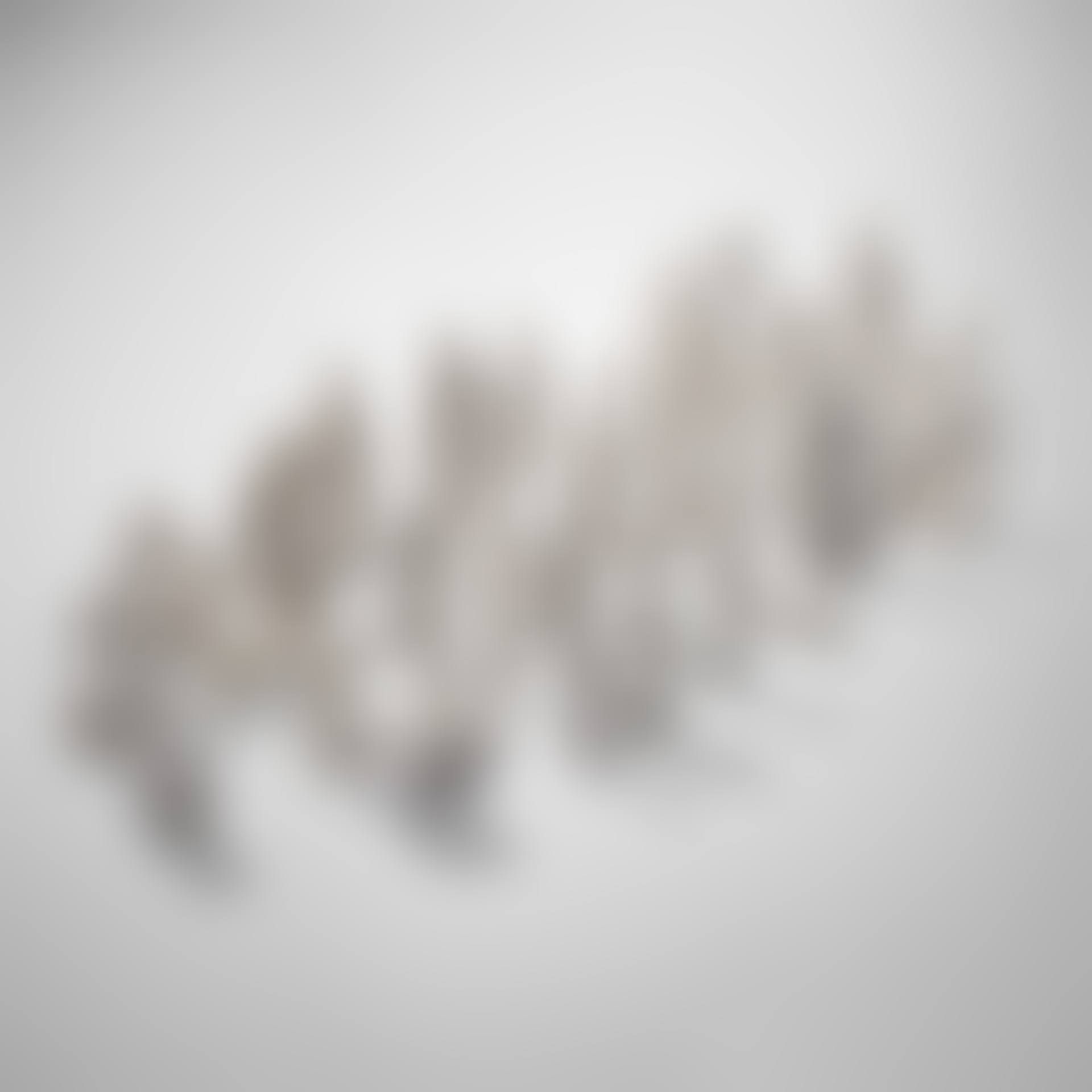 Forminifera (preview)