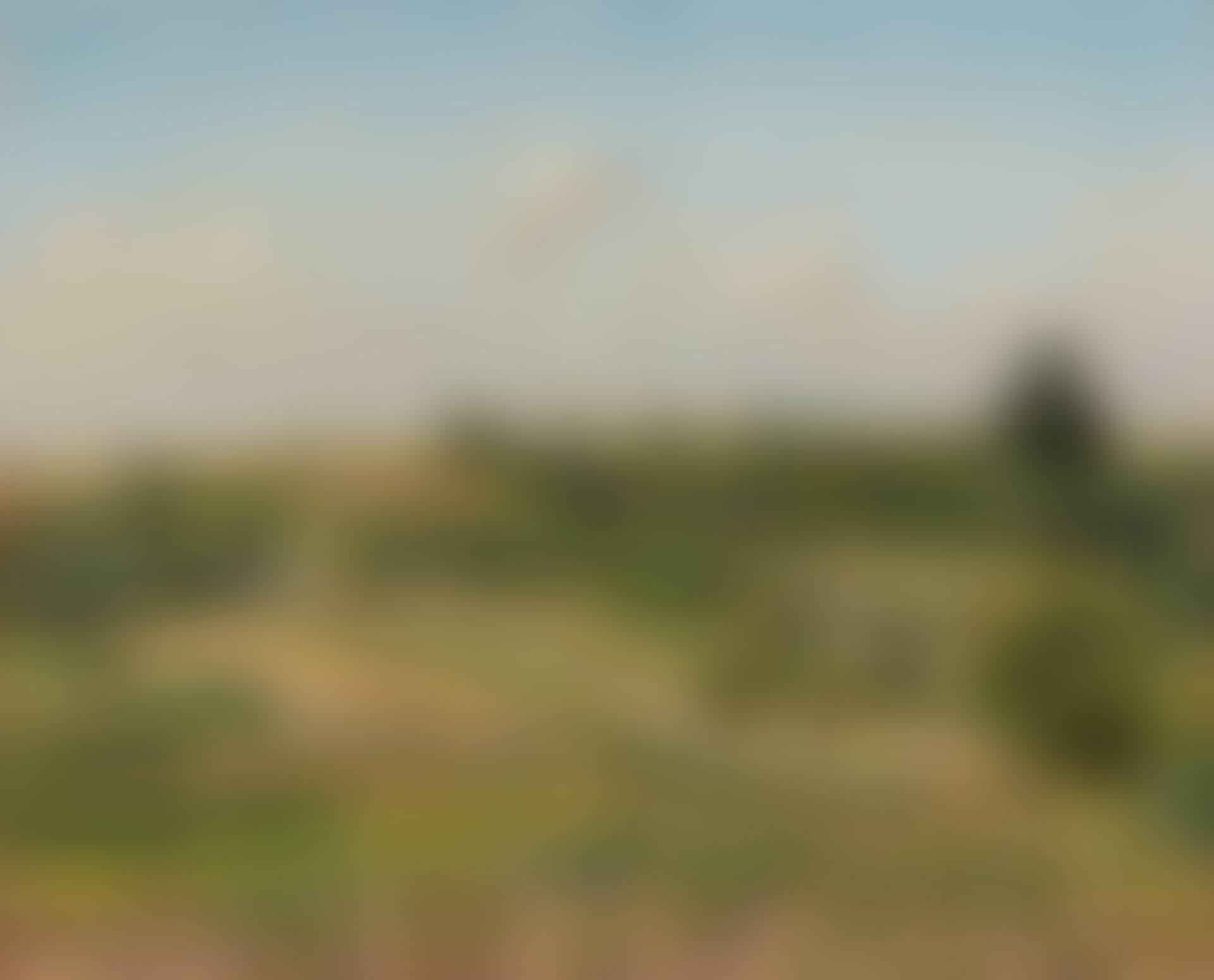 Paysage aux Pâtis, Pontoise, la moisson (preview)