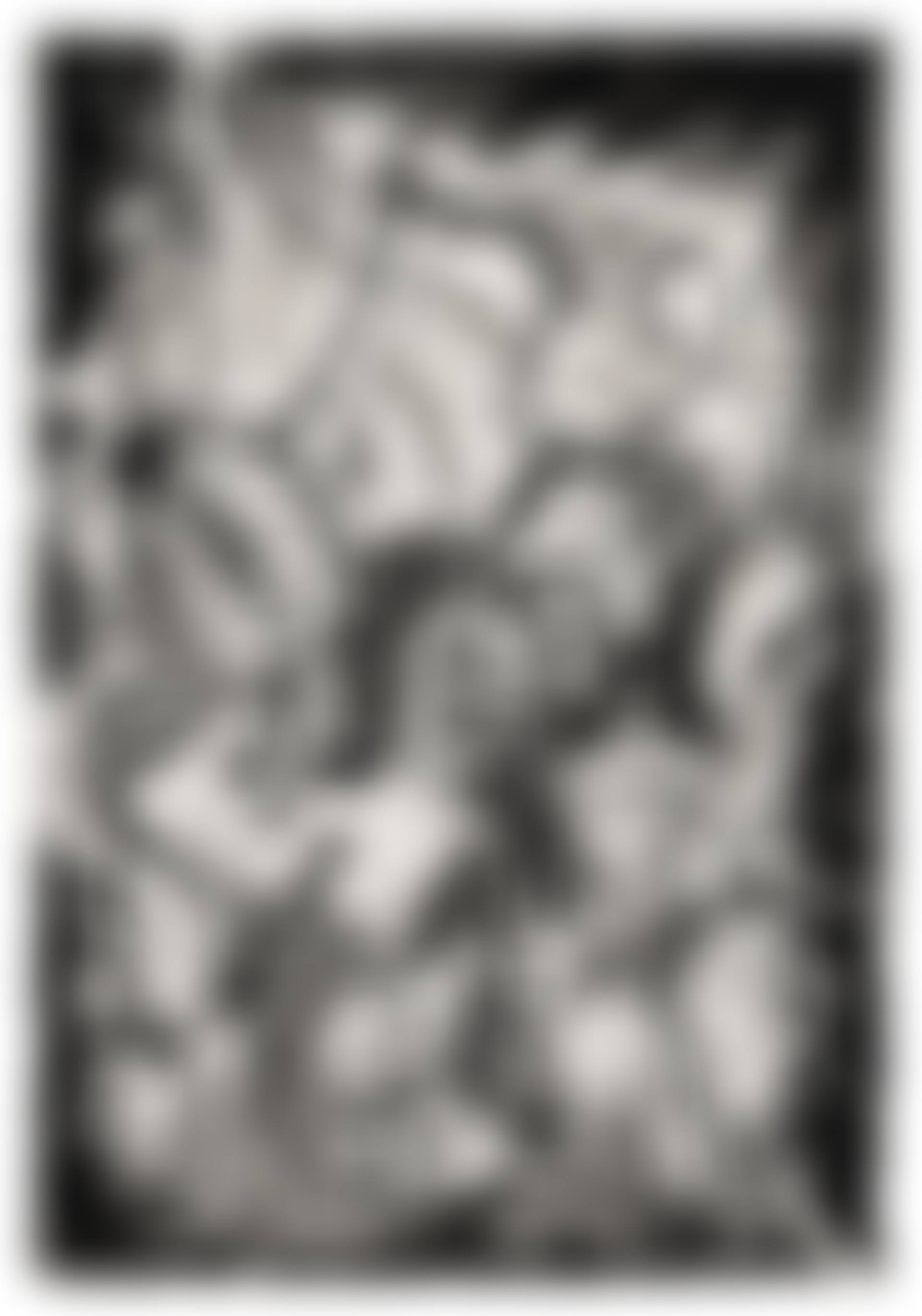 Untitled (Fahne) (preview)