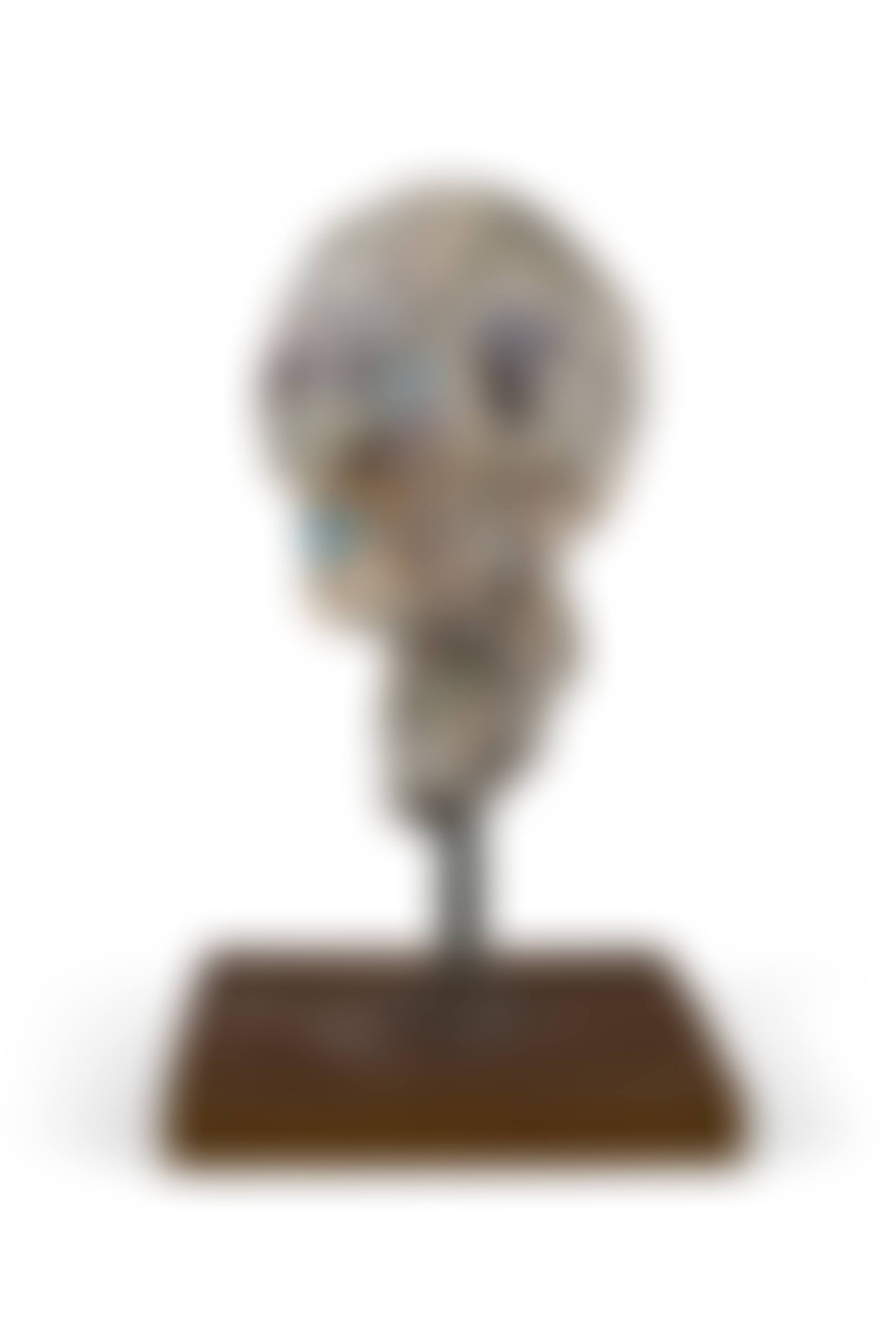 Head (preview)