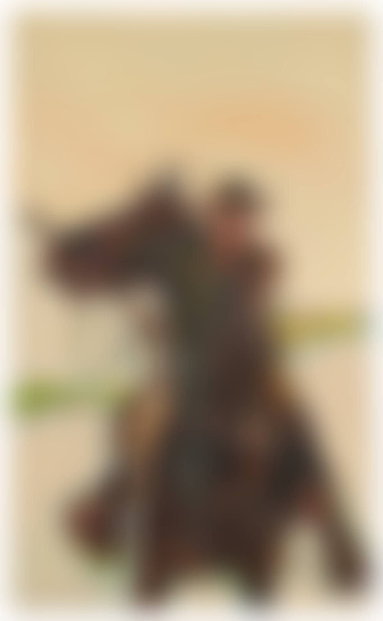 Untitled (Cowboy) (preview)