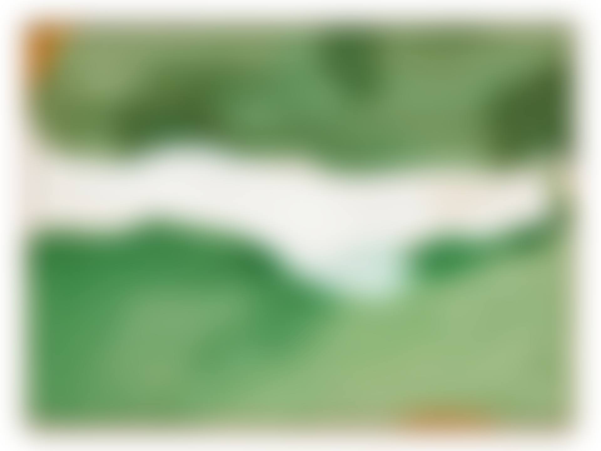 Stretch (preview)
