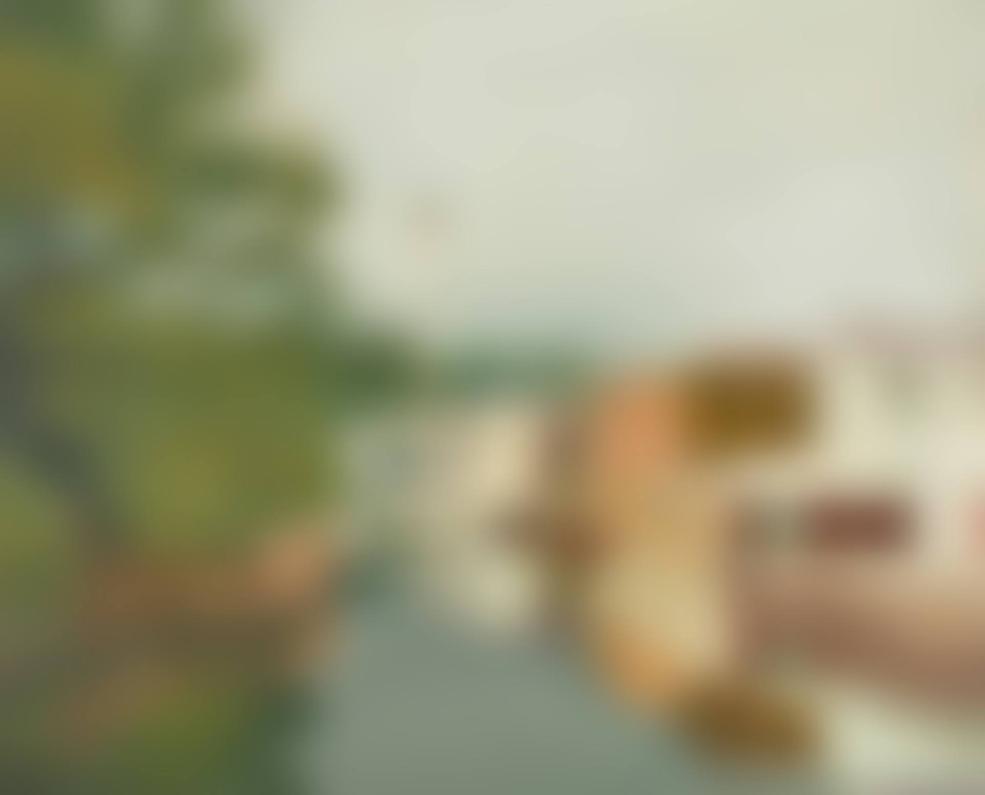View on the Cam from Magdalene Bridge, Cambridge, no.2 (preview)