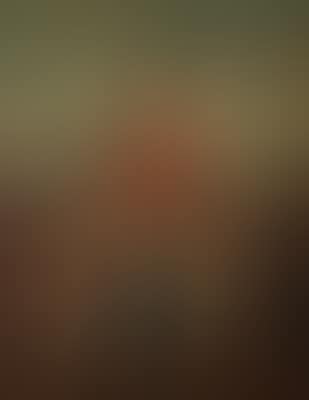 "Madonna del Cardellino" (mit dem Stieglitz) (preview)
