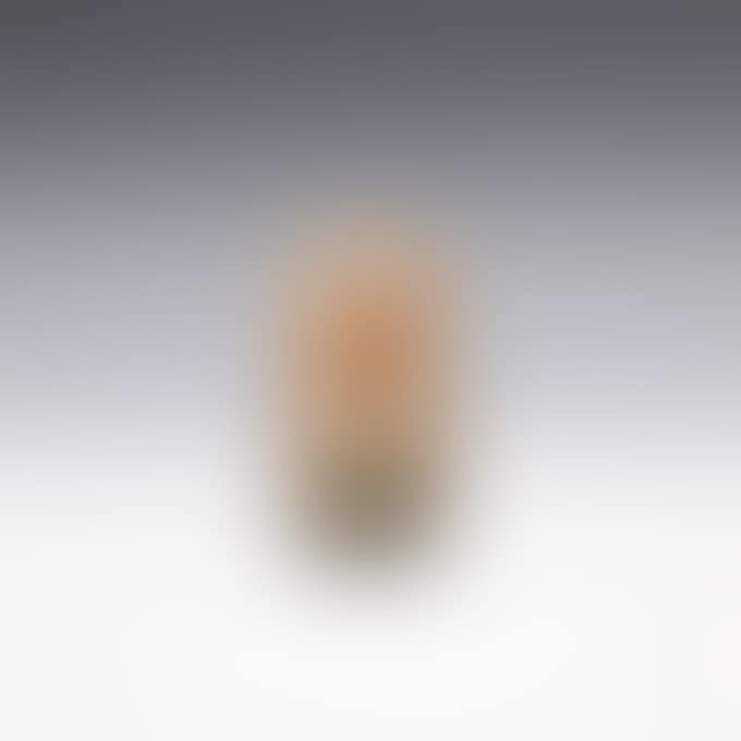 COSMOS VASE (preview)