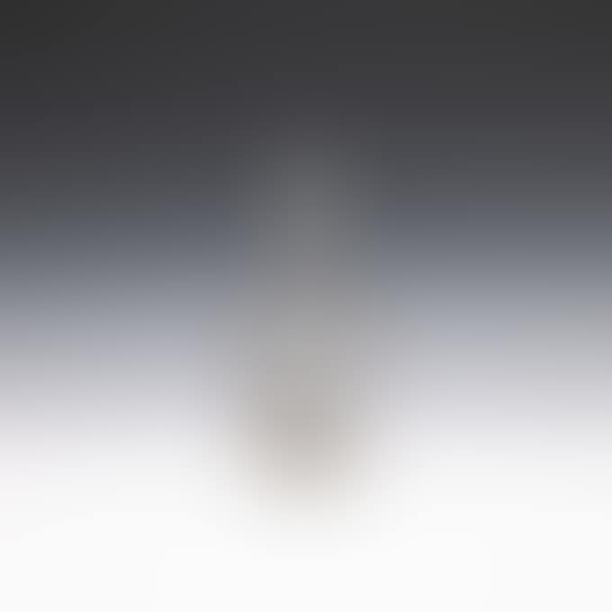 LAKE LANDSCAPE WITH PEOPLE DECANTER (preview)