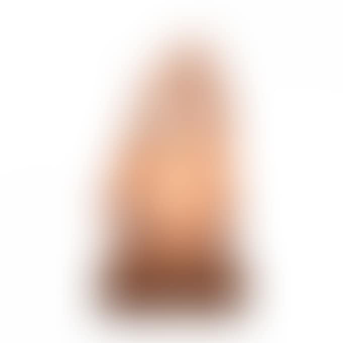 STATUE "HIVER SURTOUT QUATRE SAISONS" (preview)