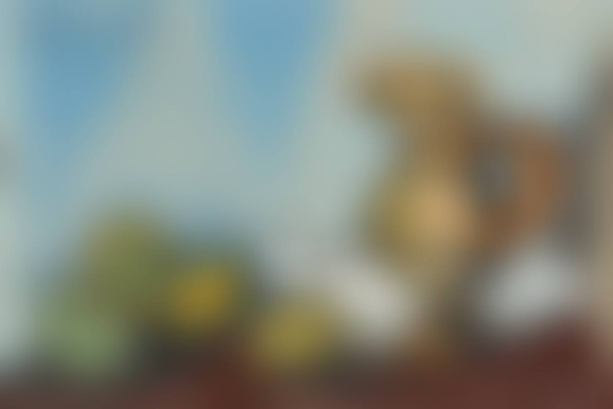 Nature morte, pichet et fruits (preview)