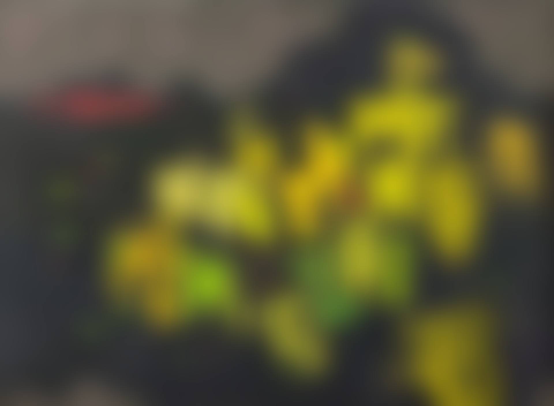 March of Yellow Rocks (preview)
