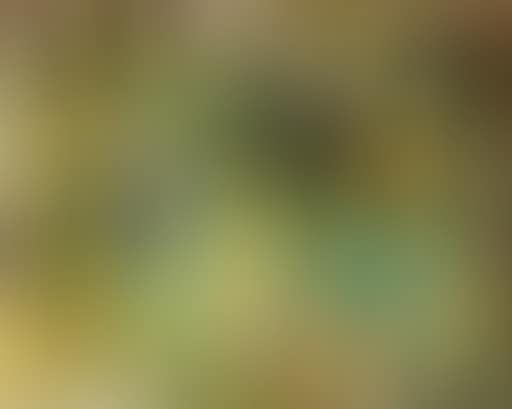 Village scene in Belgian Congo (preview)
