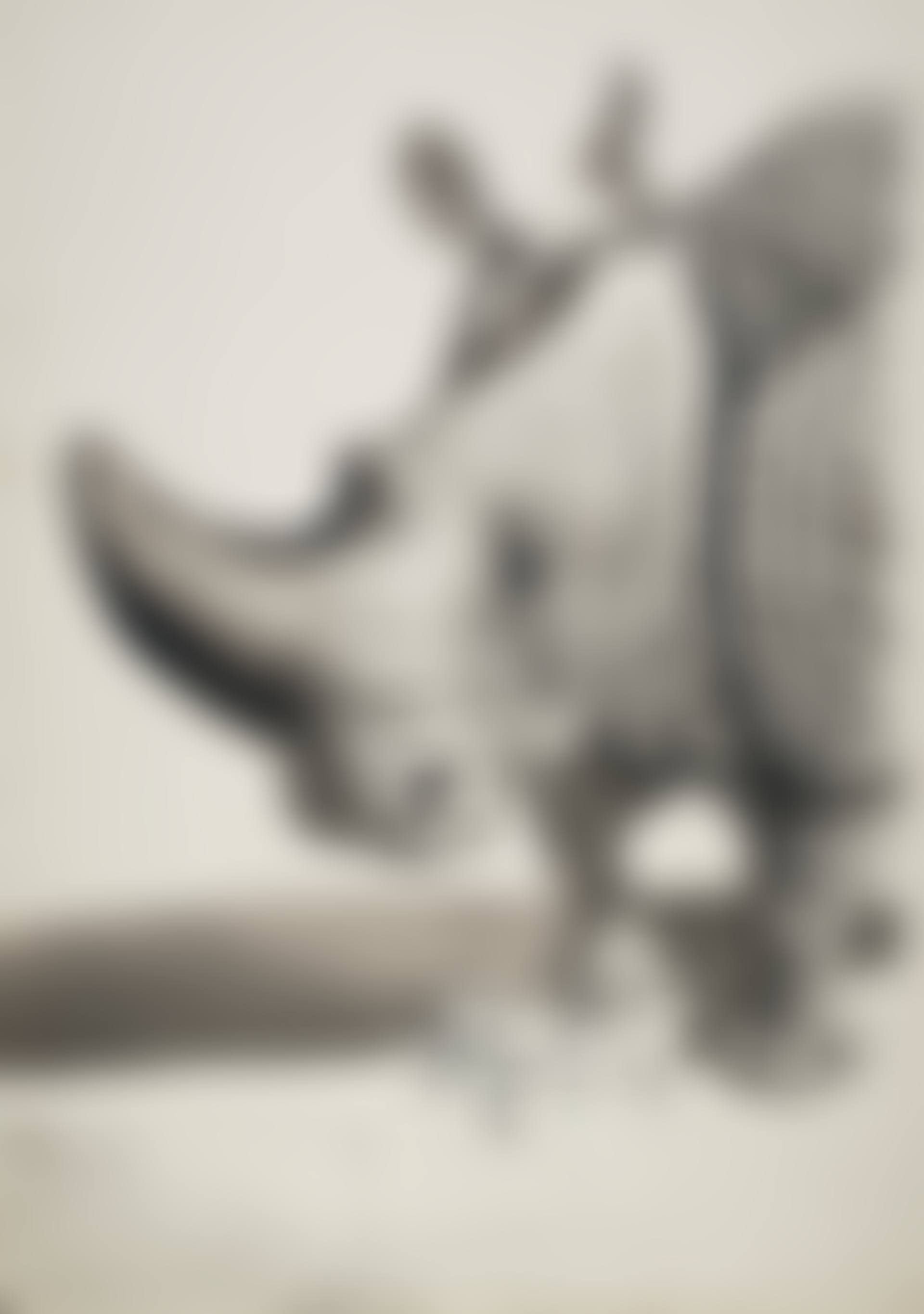 Rhinocéros (recto); Etude pour Rhinocéros (verso) (preview)