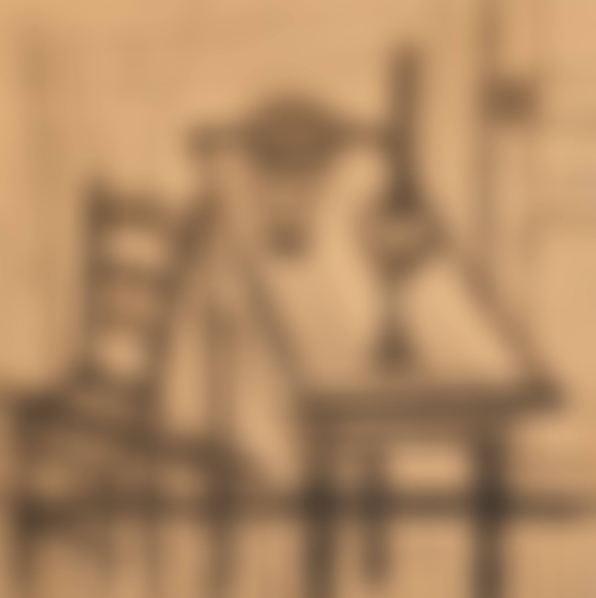 Les Chants de Maldoror, Table et chaise dans un intérieur (preview)