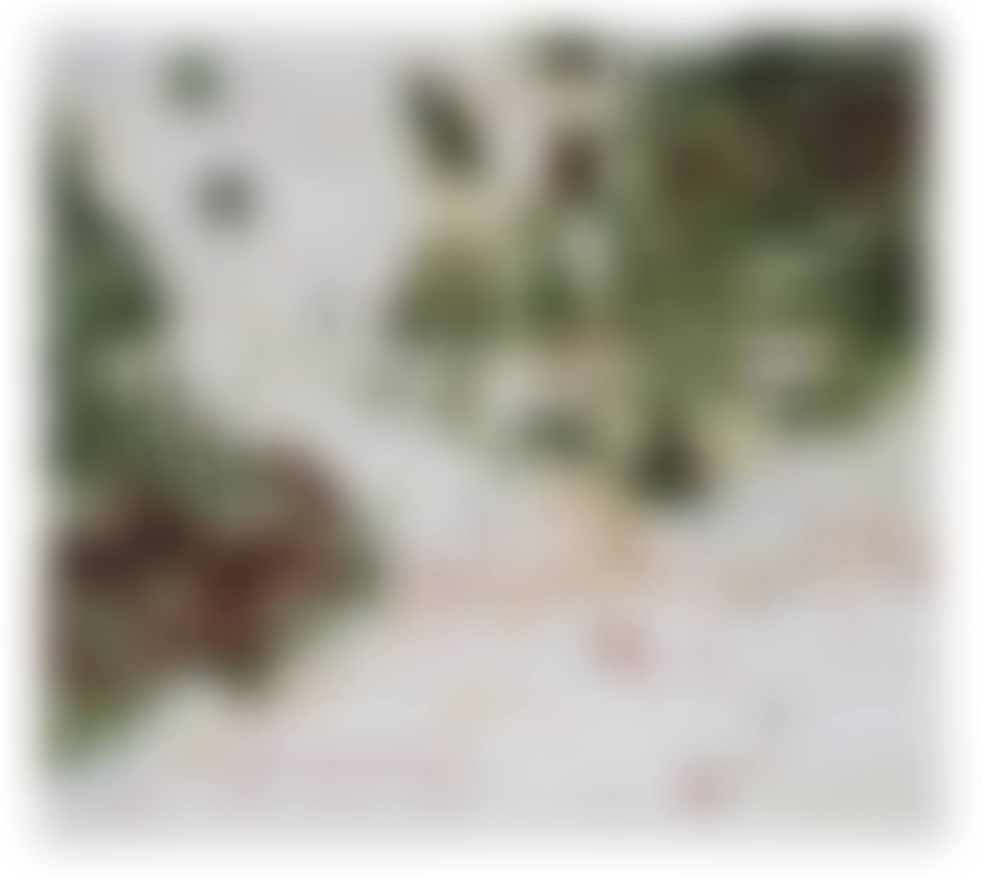 Doig, P.; Ski Jacket (preview)
