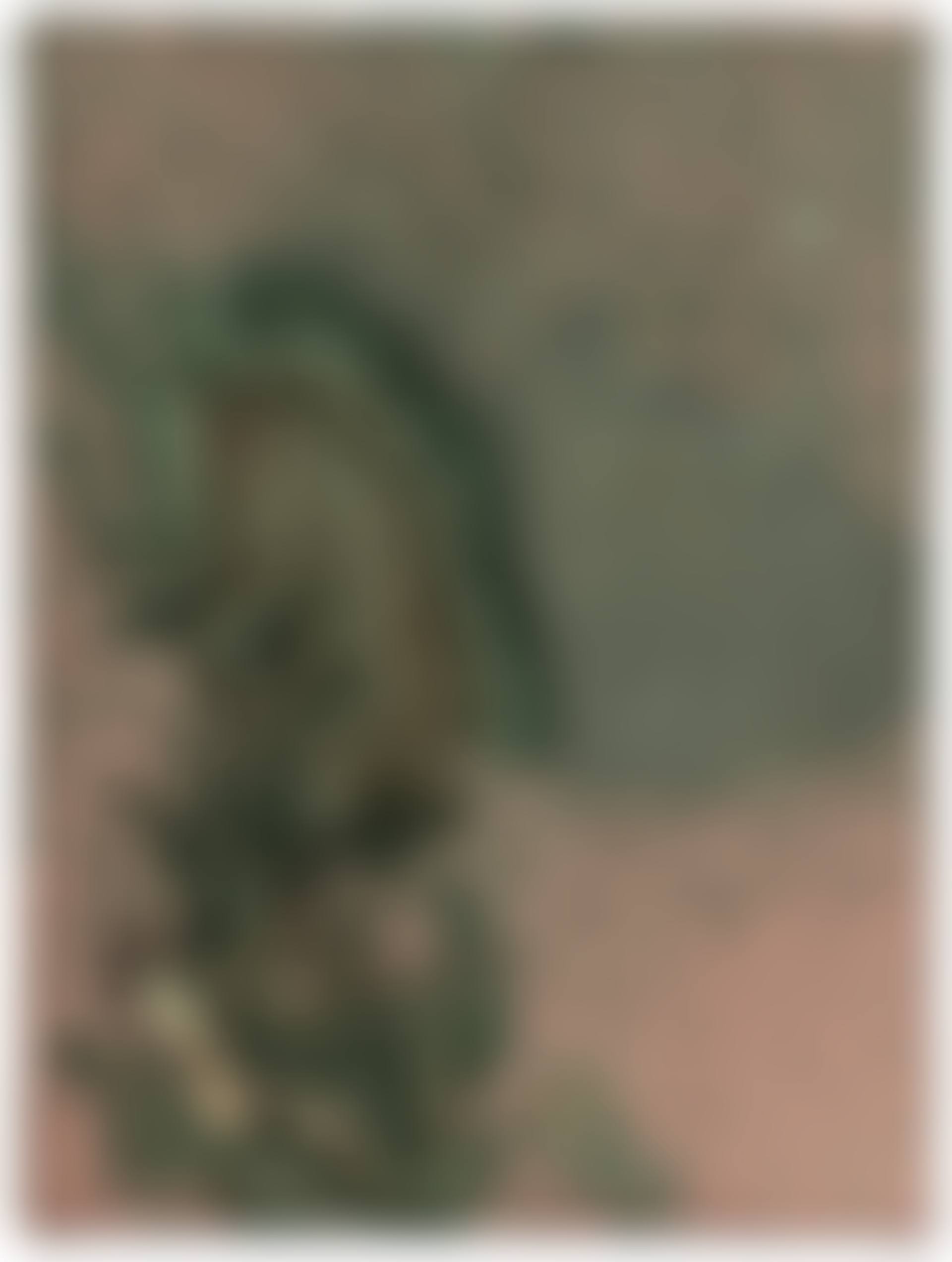 Oxidation (preview)
