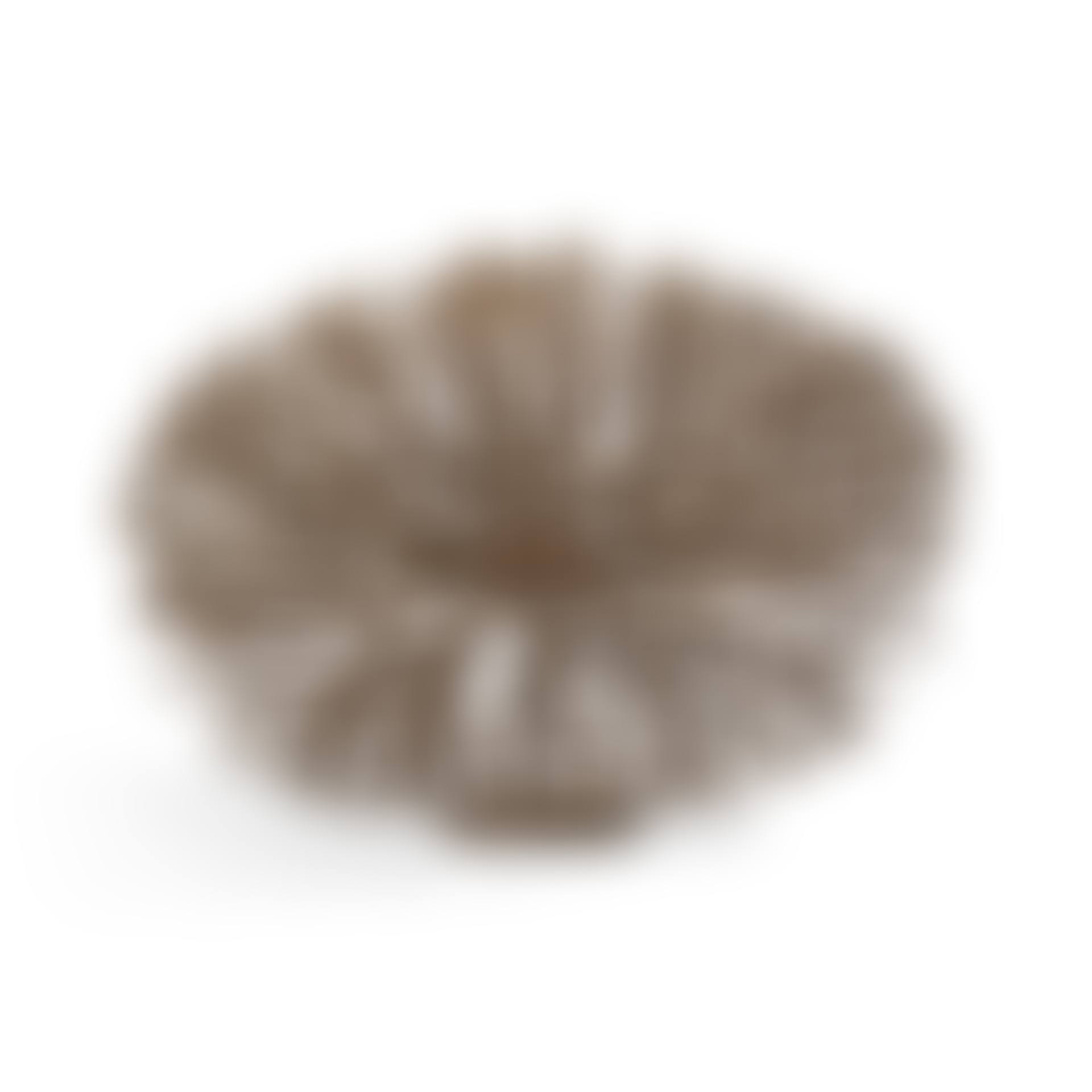 Untitled (Bush) (preview)