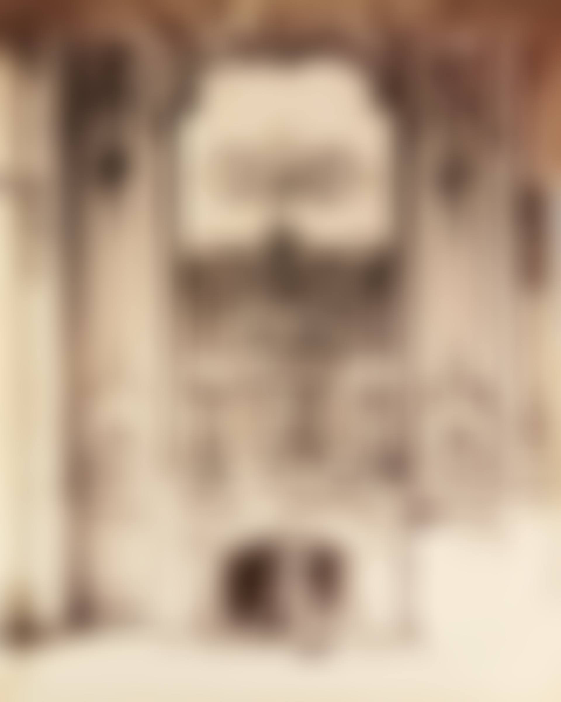 Select Parisian Interiors (preview)