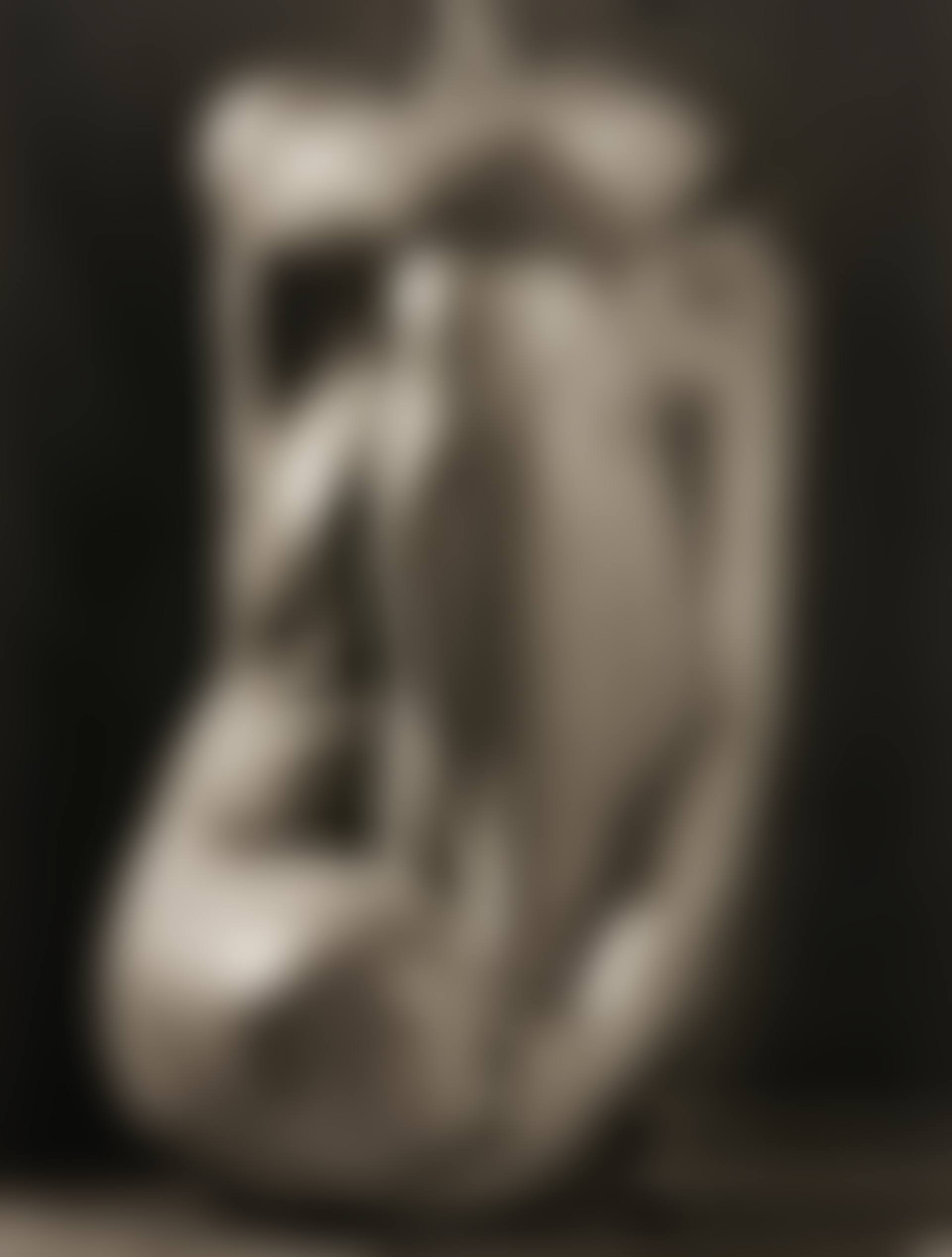 Classic Torso (preview)