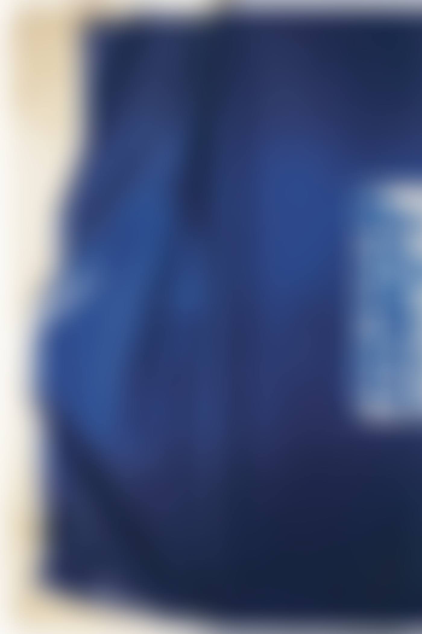 Blue Idiot (preview)