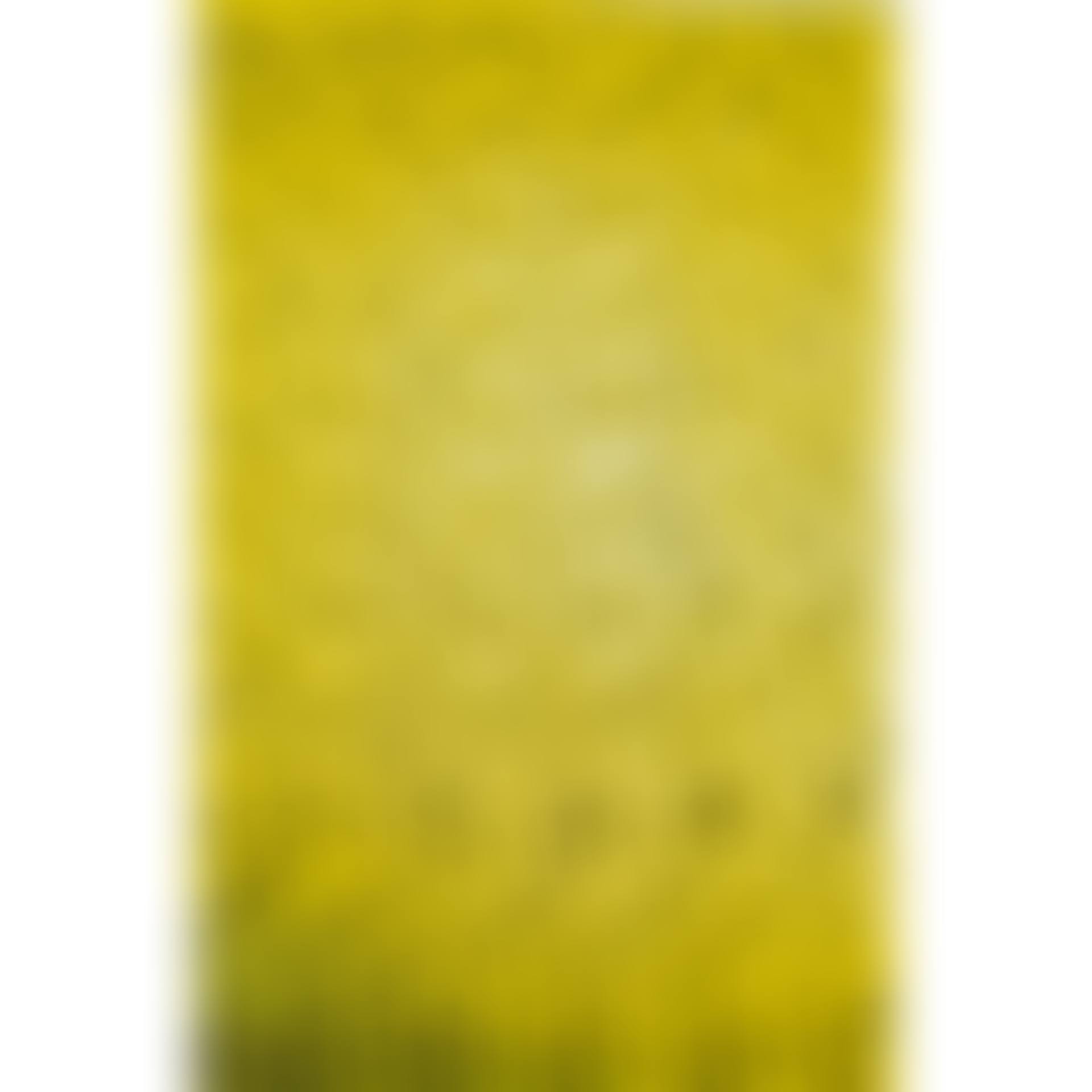Untitled (Kölnischer Kunstverein) (preview)