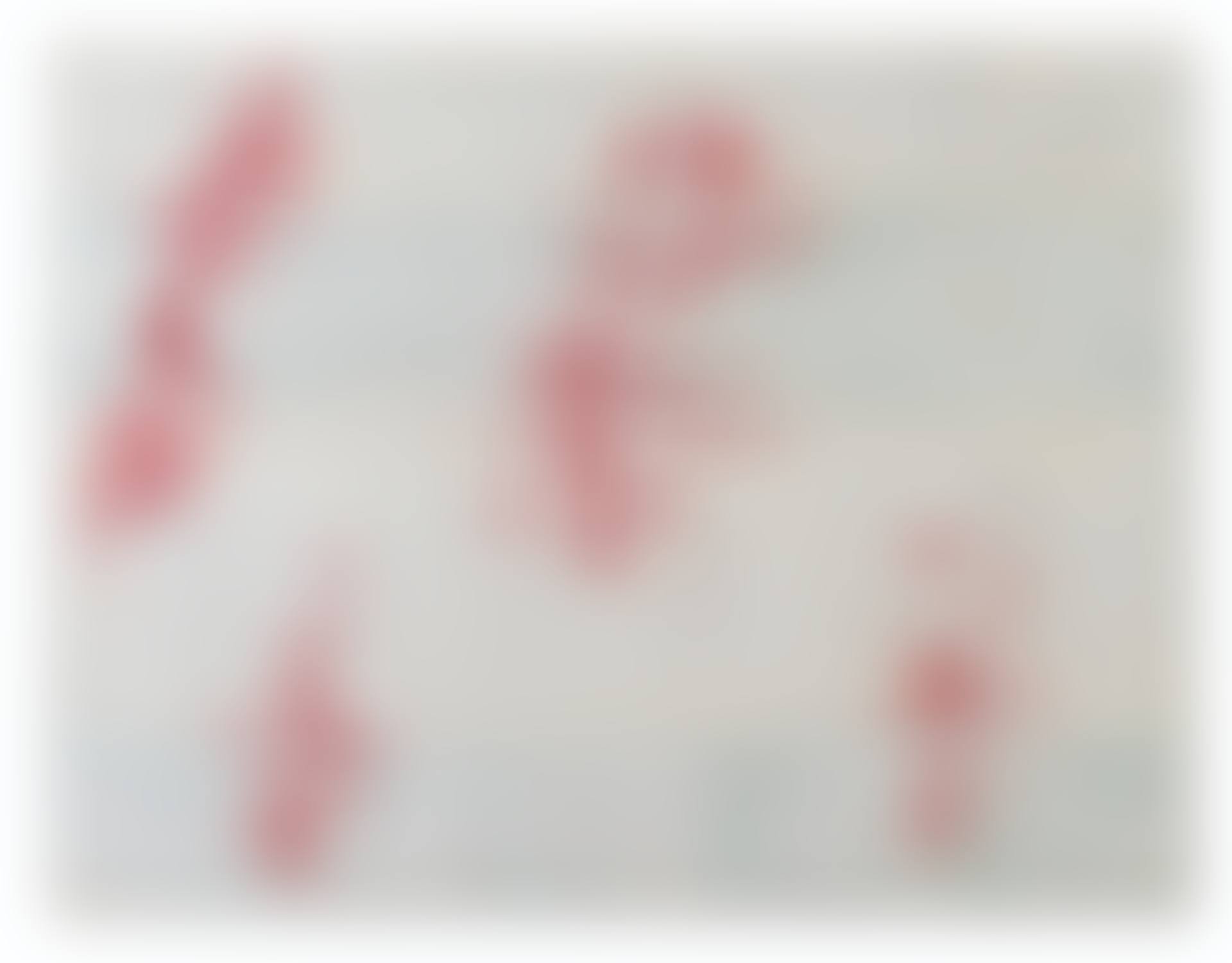Transparence (preview)