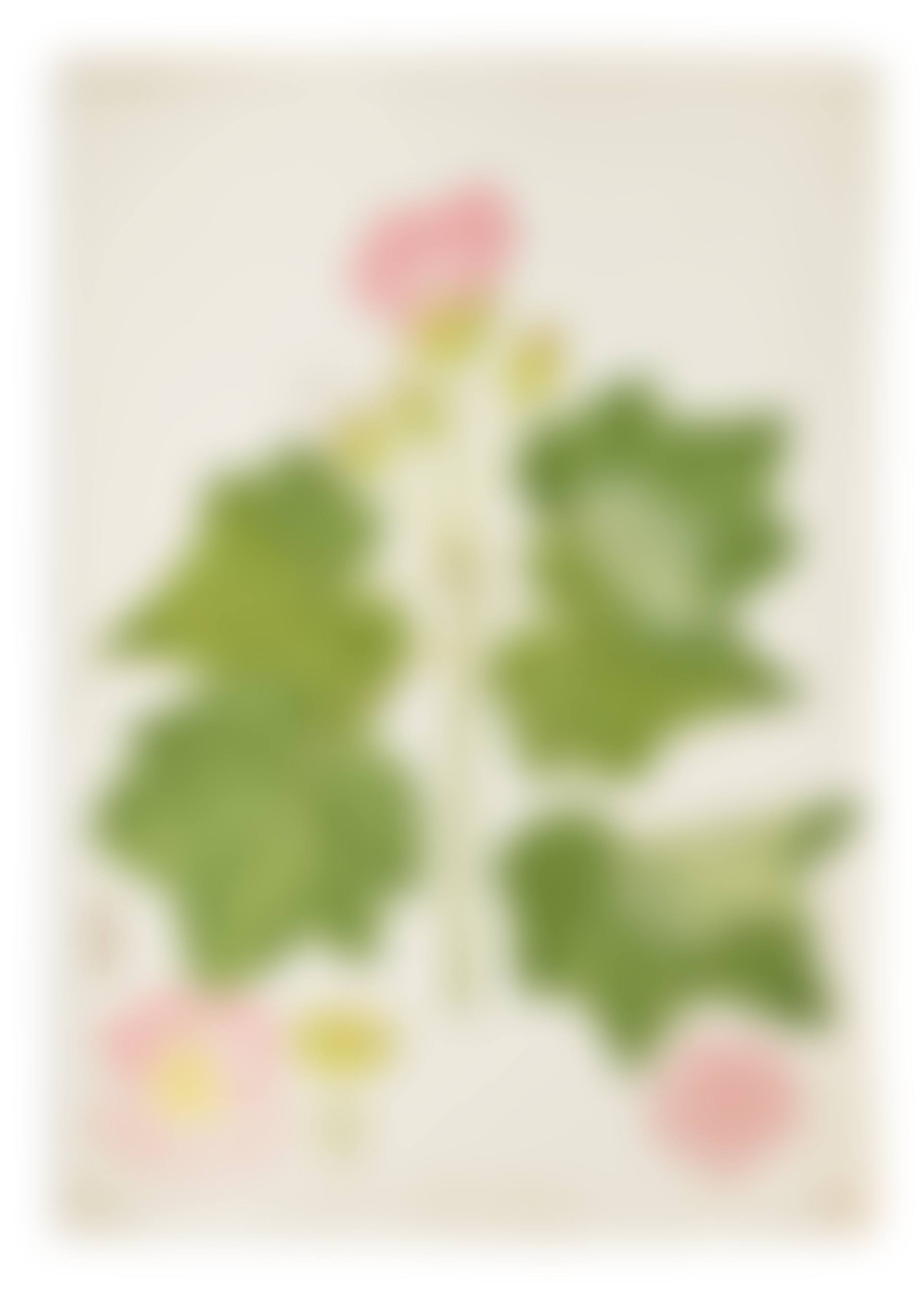 Très important ensemble d’environ 415 aquarelles originales pour le jardin botanique de la Marine de Toulon. 1794-1827. (preview)