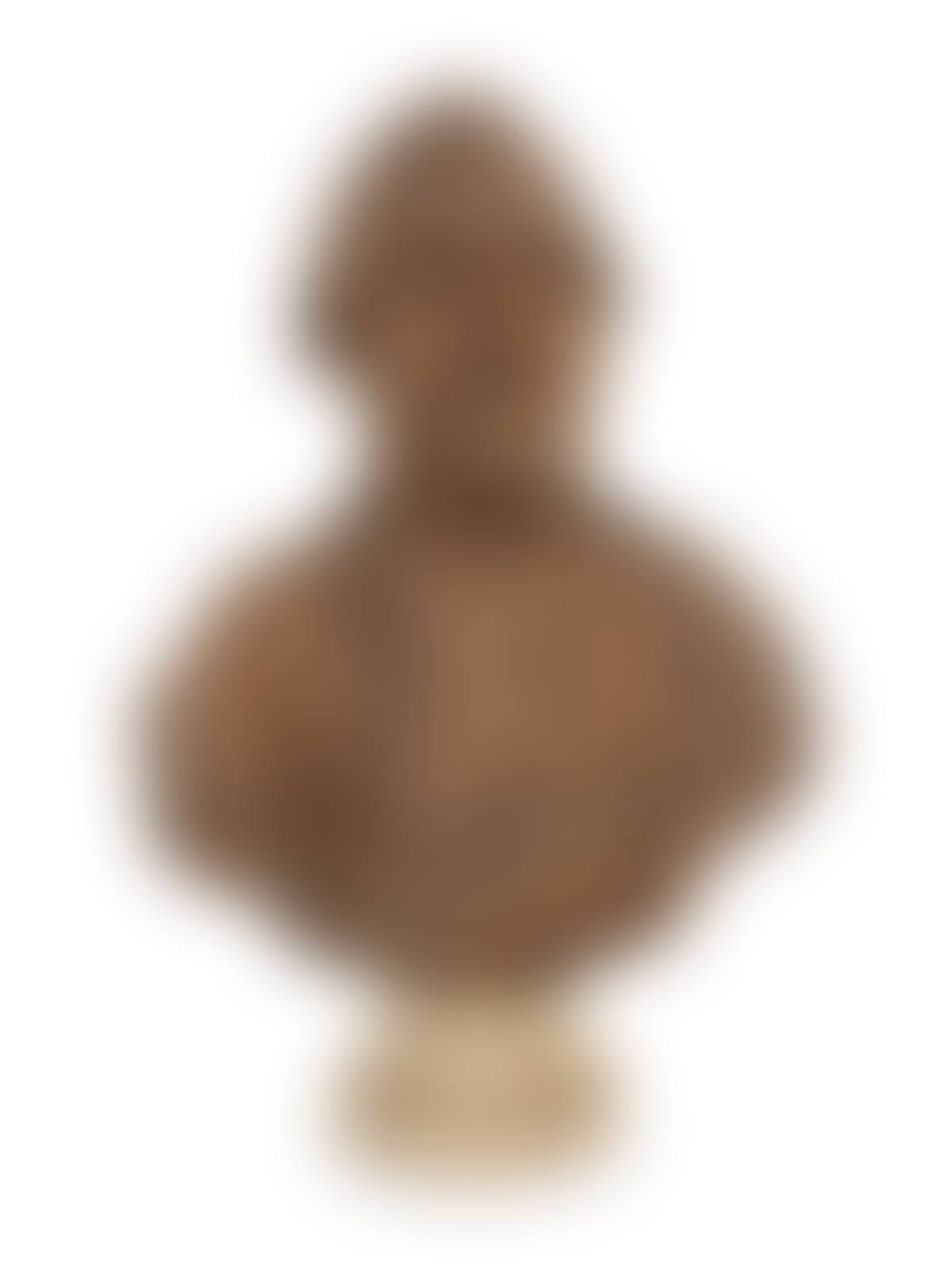 A French Terracotta Bust of a Gentleman (preview)