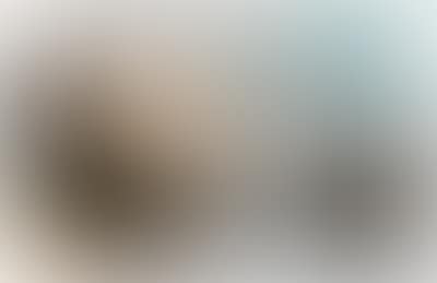 Fjordlandschaft (preview)