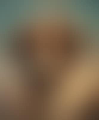 Ein Bernhardiner (preview)
