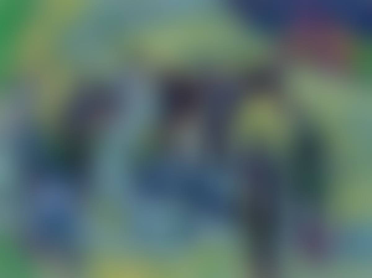 ”Heuernte” (preview)