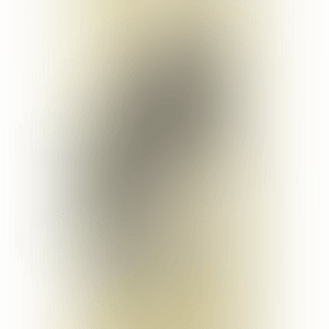 Angry Face, “In the Floating World” (No. YNF2569); Studio No. E-1999-012 (preview)