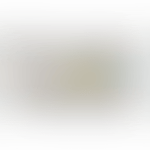 50 Cent Piece (preview)