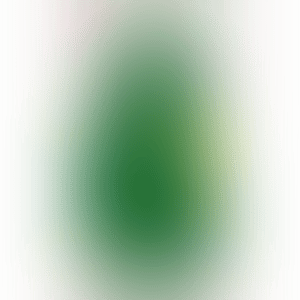 Pear For Sale (preview)