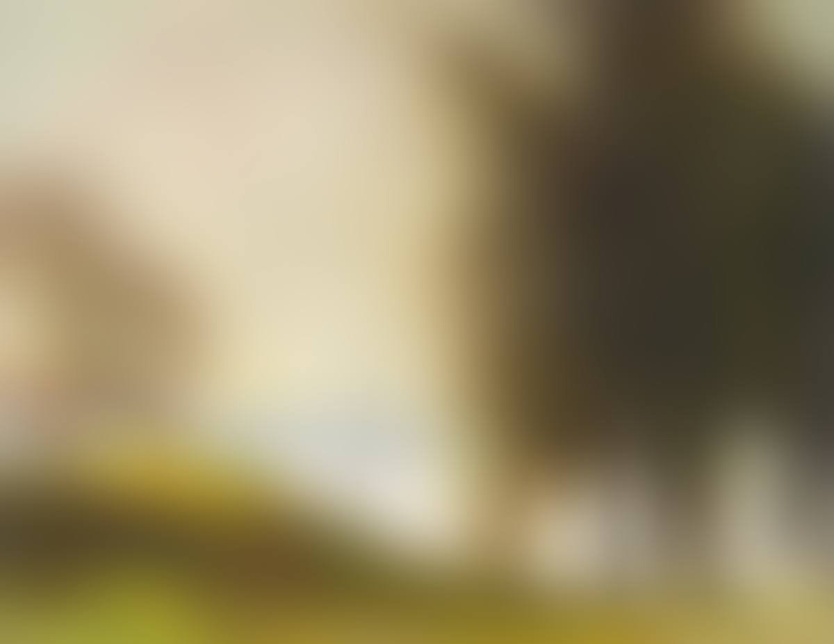 ”Der Morgen (Gardasee)” (preview)