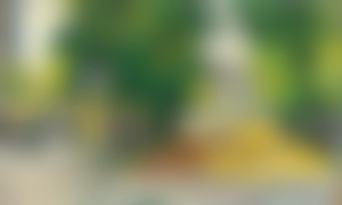 ”Unter den Linden mit Blick auf das Brandenburger Tor, Berlin” (preview)