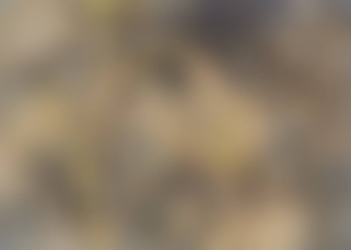 ”Kleine Sonnenblume” (preview)