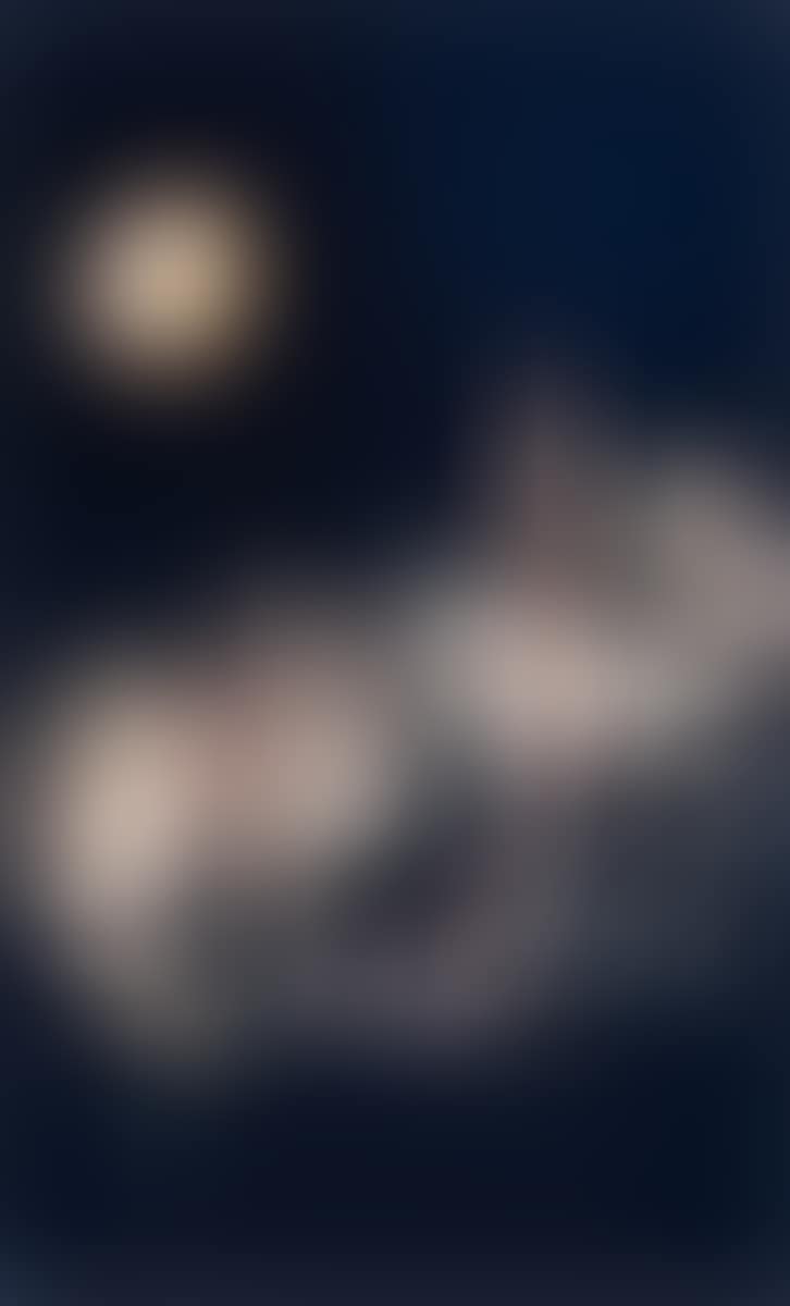 ”When I was young” (preview)
